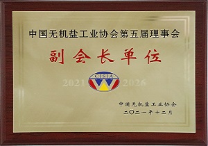 全国无机盐工业协会副会长